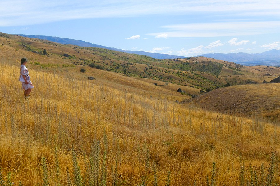 Landscape pic 1